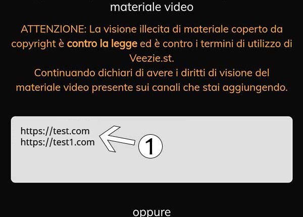 Come inserire una lista canali su Veezie | GiovaTech